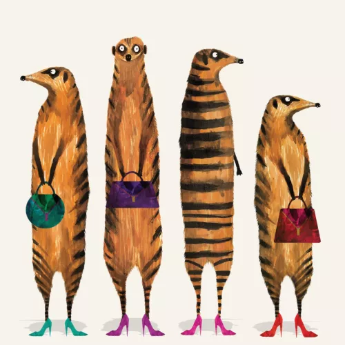 Ladies Night Meerkats, Greeting Cards