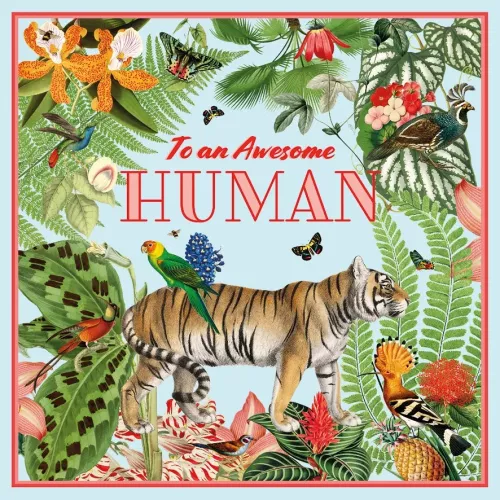 To an Awesome Human, Greeting Card