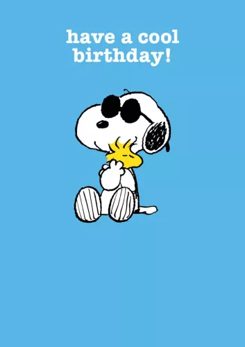 Snoopy cool birthday, Greeting Card