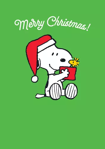 Snoopy "Merry Christmas!" present, Greeting Card