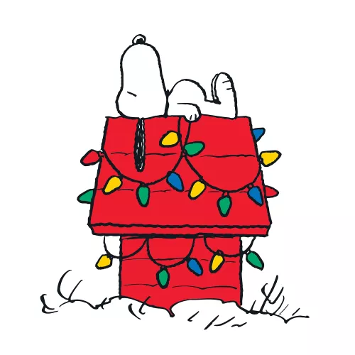 Snoopy Christmas square kennel lights, Greeting Card