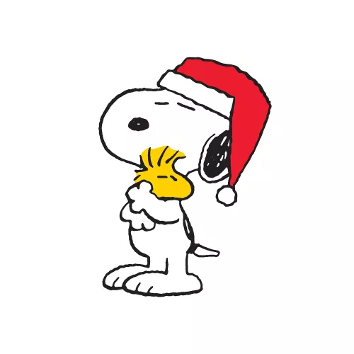 Snoopy Christmas square hug, Greeting Card