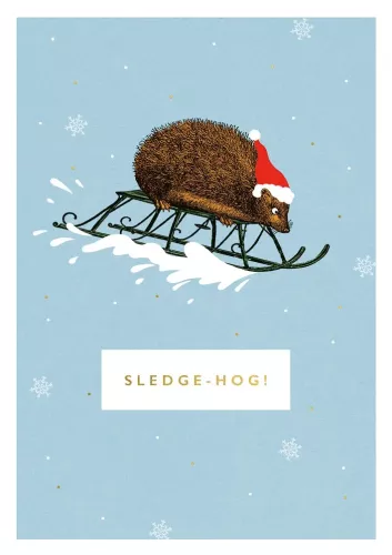 Sledge Hog, Christmas Greeting Card