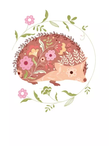 Hedgehog, Greeting Card