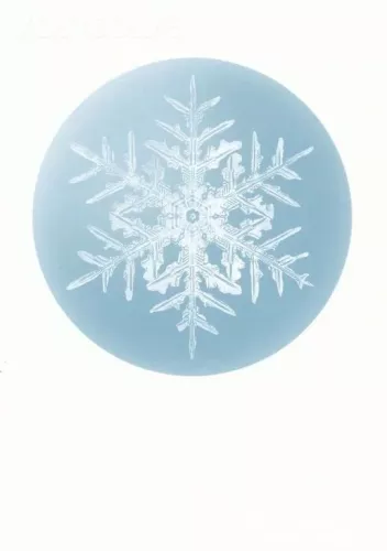Stellar Snowflake, Postcard
