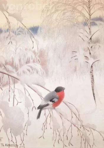 Bullfinch on an Icy Branch, Postcard