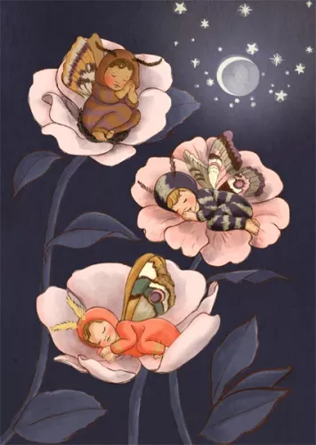 Moth Babies, Postcard