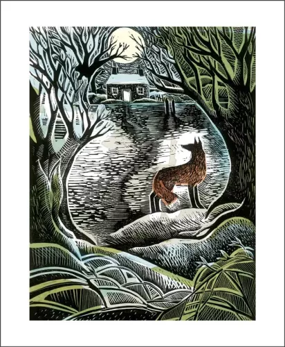 Midnight Fox, Greeting Card