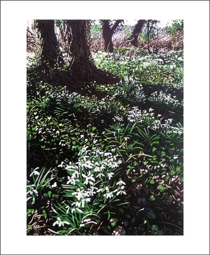 Snowdrops And Ivy, Greeting Card