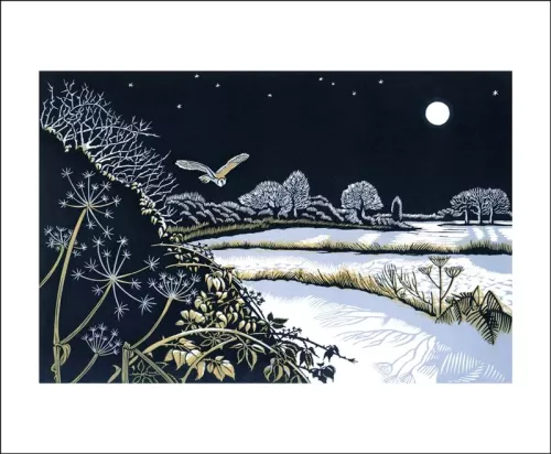 Night Flight, Greeting Card