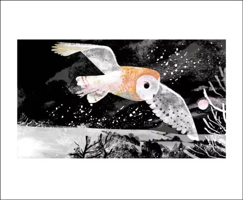 Winter Owl, Greeting Card