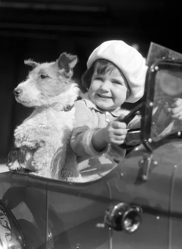 Little girl and dog in toy car, Greeting Card