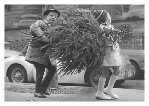 Heading home with the tree, Greeting Card