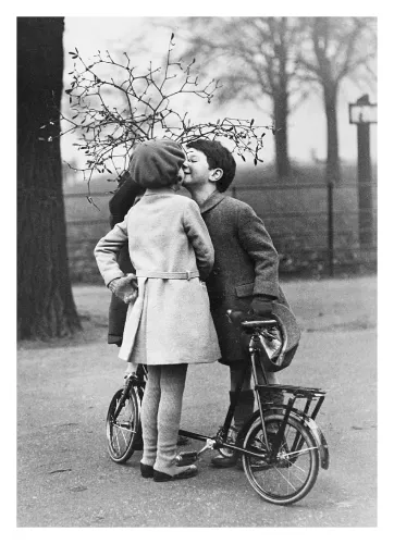Mistletoe, Greeting Card