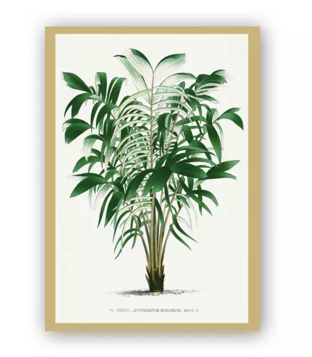 Les Palmiers, Greeting Card