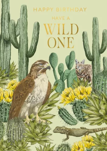 Habitania Sonaran Desert North America, Greeting Card