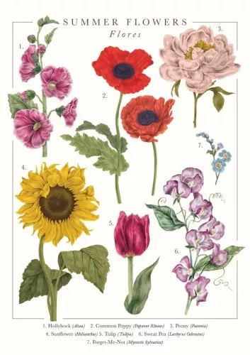 Summer Flowers Greeting Card
