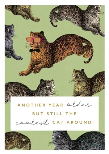 Rock On Coolest Cat Greeting Card