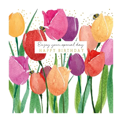 Natural Phenomenon Tulips Greeting Card