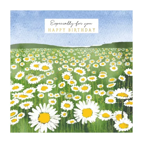 Natural Phenomenon Daisy Field Greeting Card