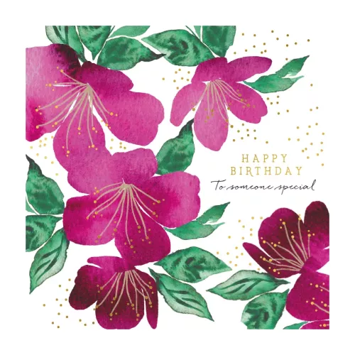 Natural Phenomenon Fuschia Flowers Greeting Card