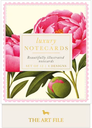 Colourburst Luxury Notecards in Box