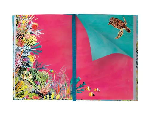Oceania Illustrated Journal