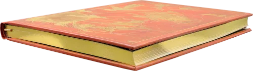 Orange Fairy Journal