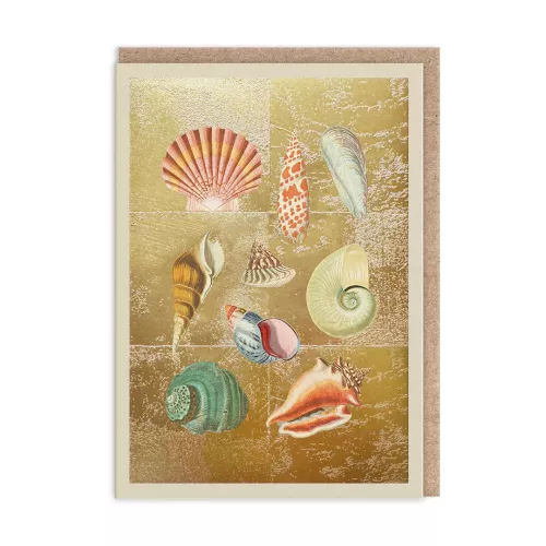 Shell Collection Greeting Card