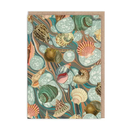 Marble Shell Collection Greeting Card