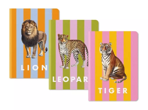 Striped Stitched Notebook Set (12230)