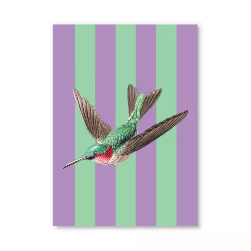 Striped Hummingbird Postcard (12336)