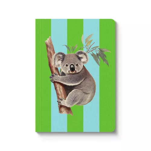 Striped Koala Paperback Notebook (A6) (12363)