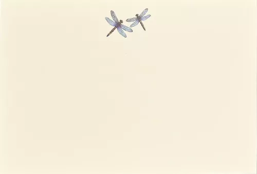 Blue Dragonflies Correspondence Cards