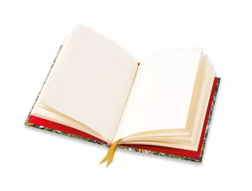 Antique Map (Foiled Blank Journal)