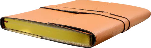 Leather Wrap Journal