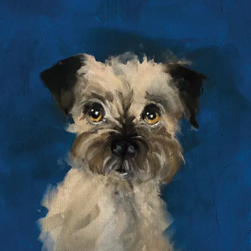 Bertie The Dog Card