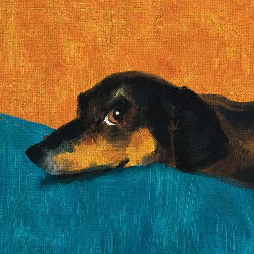 Fred The Dog Card