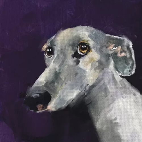 Walter The Dog Card