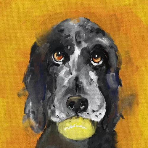 Harold The Dog Card