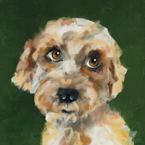 Hounds Coco The Dog Card