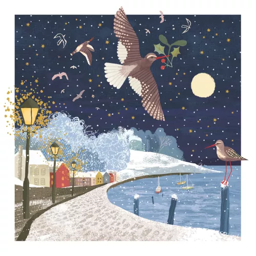 WINTER HARBOUR OVER THE ISLES XMAS CARD
