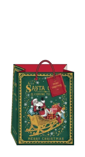 Santa Claus Medium Gift Bag