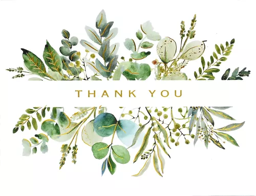 Eucalyptus Premium Note Cards