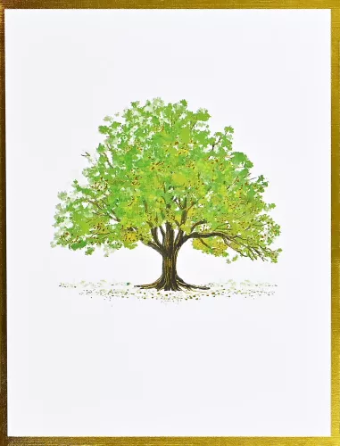 Watercolor Trees Premium Note Cards