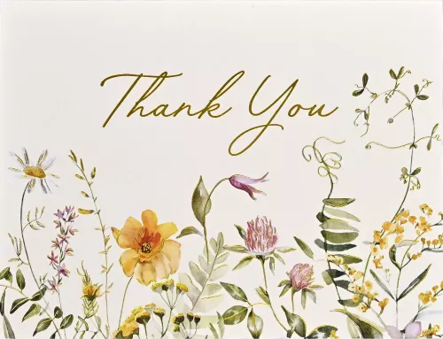 Wildflowers Premium Note Cards