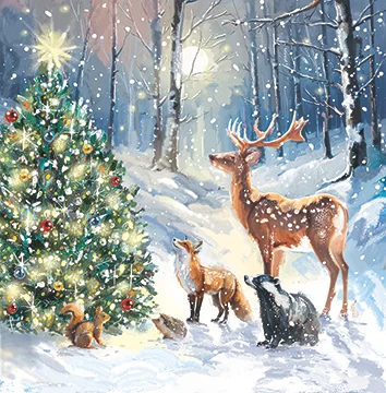 Magical Winter, Medium Solid Christmas Box