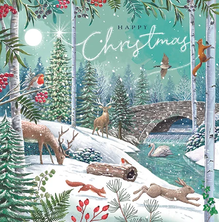 Woodland Christmas, Medium Solid Christmas Box