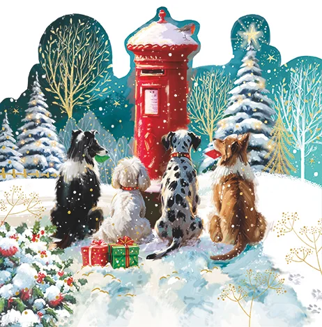 Special Delivery, Christmas Box