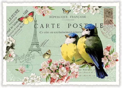Blue Tits, Postcard
